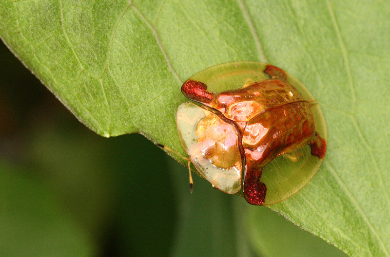莫零零yeah _ 哔哩哔哩相簿