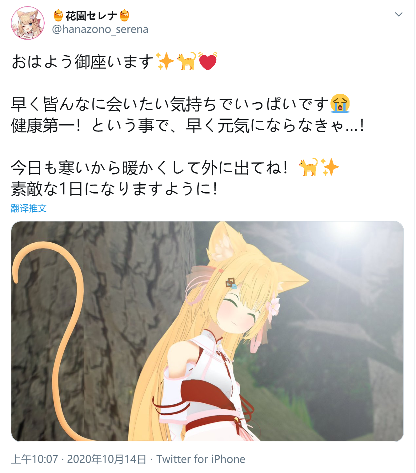 花园serena _ 哔哩哔哩相簿