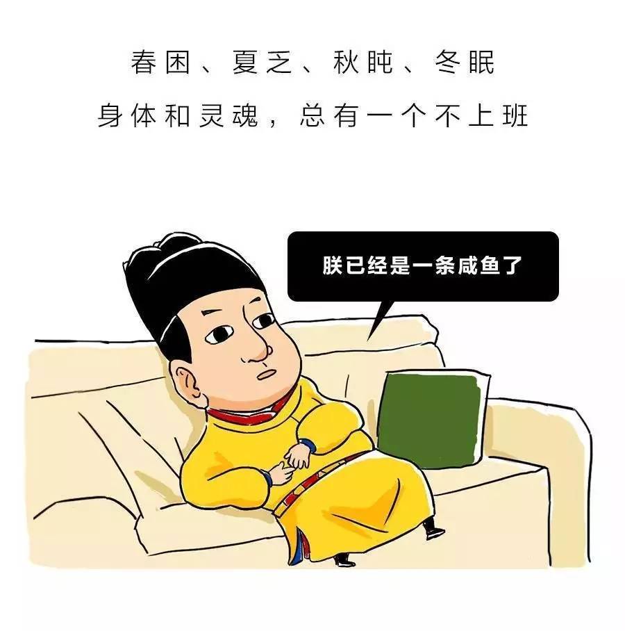 哔哩哔哩相簿,绘你所想,拍你所爱