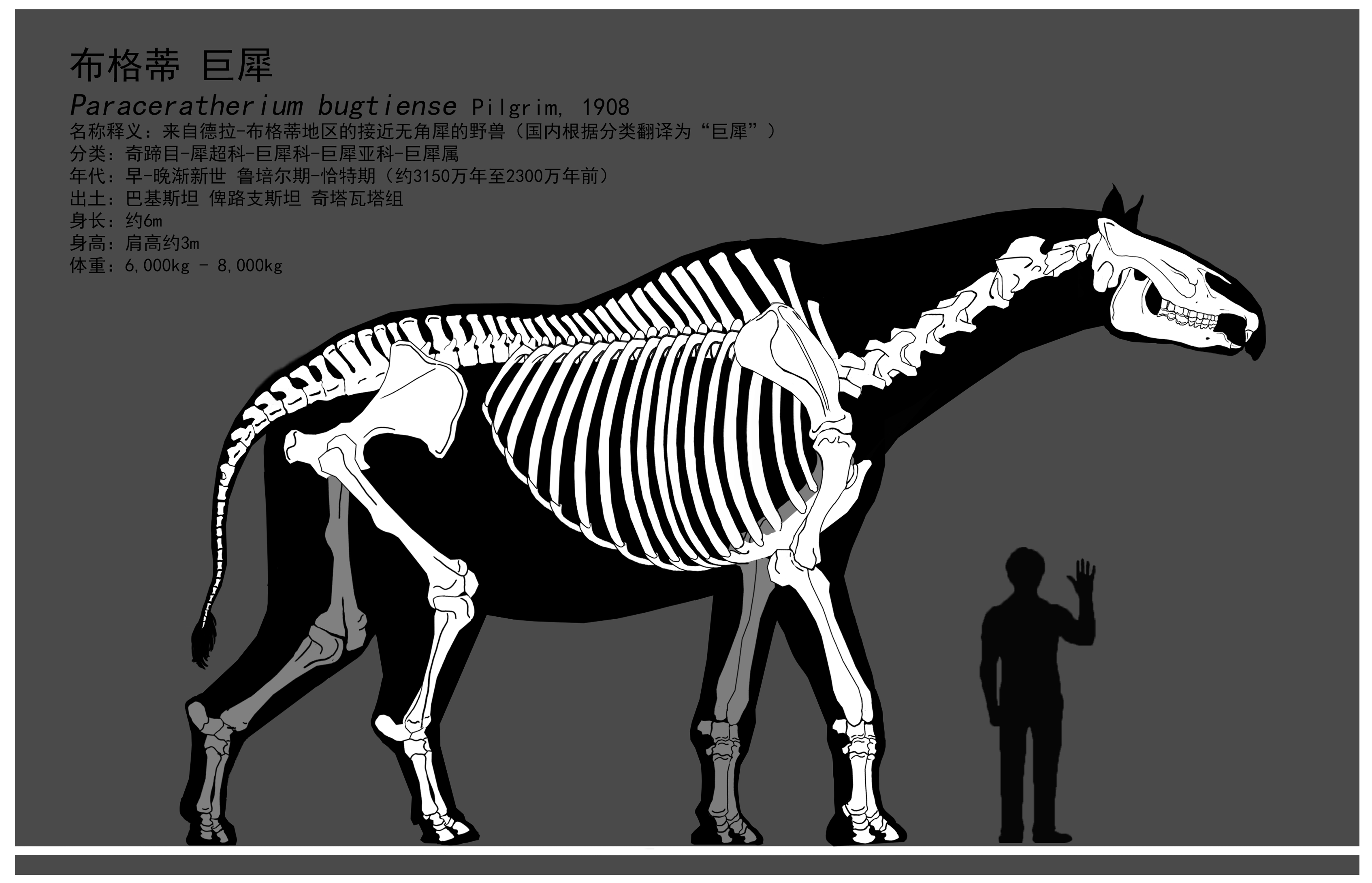 未来将会有一篇新的大巨犀论文发表,其中会提到大量新材料以及其复原