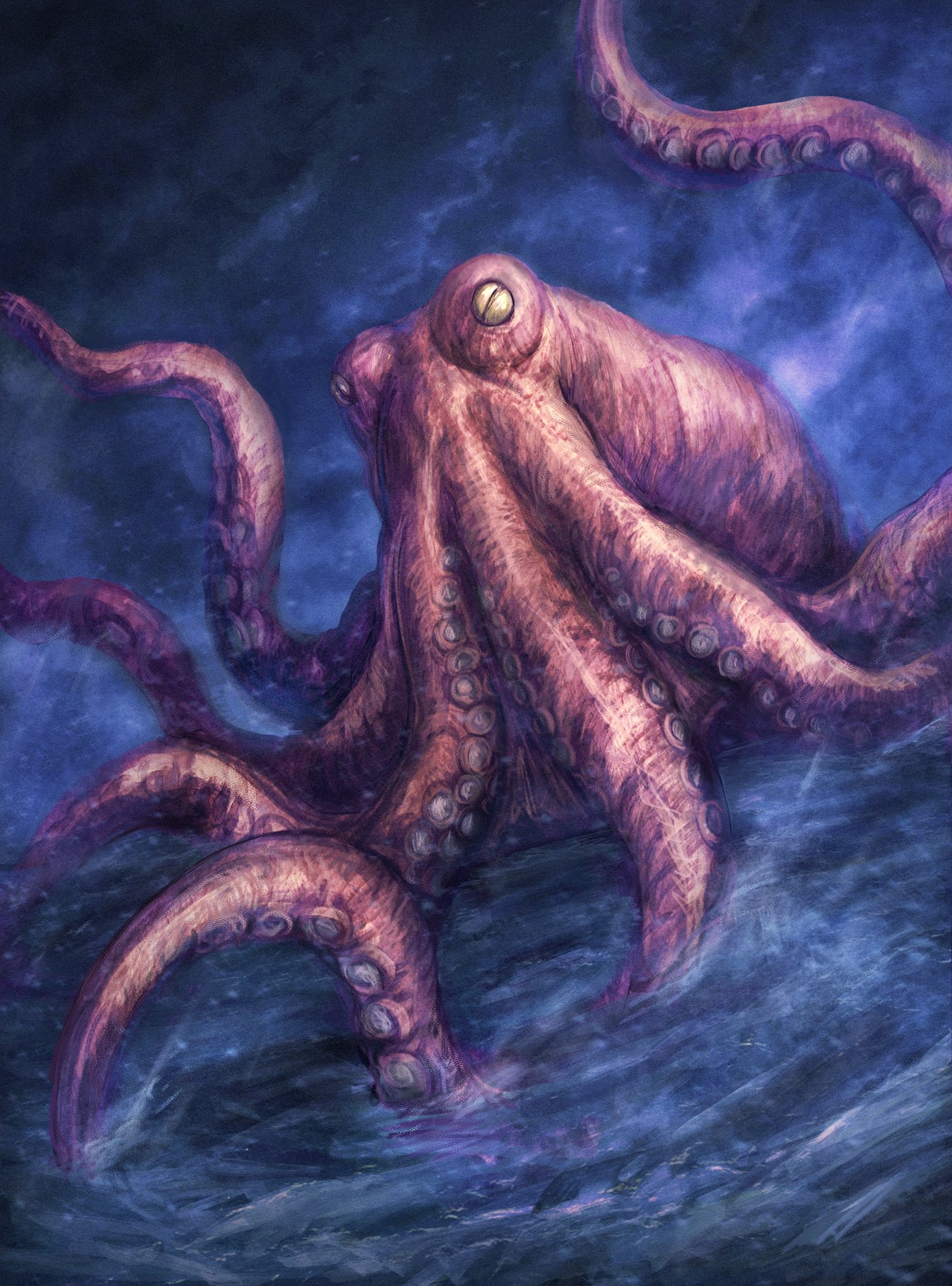 万事君的怪兽录 _ 哔哩哔哩相簿