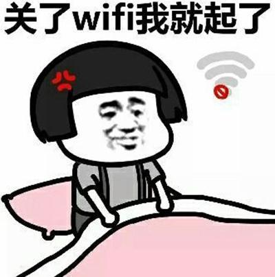 会飞的木杉