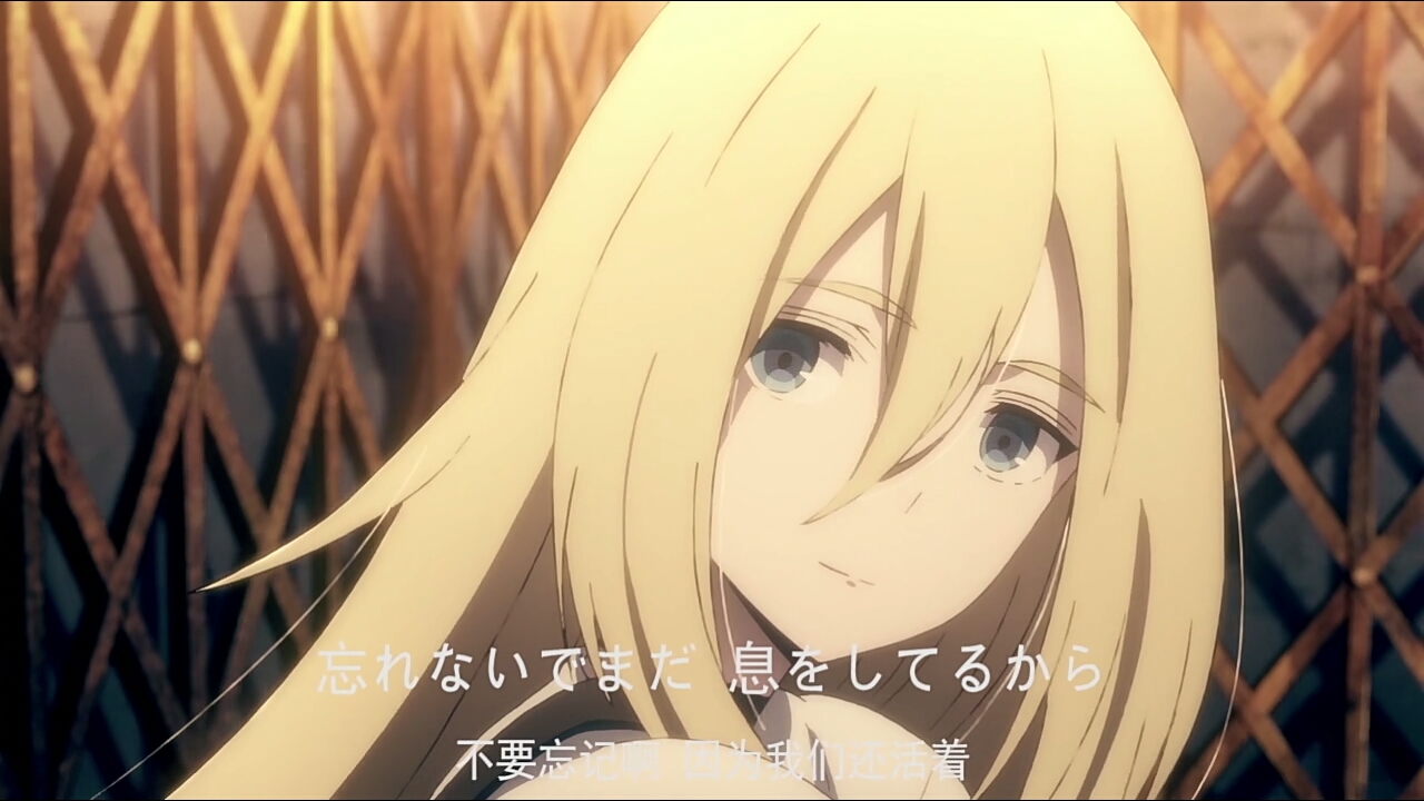 小董小董不睡觉