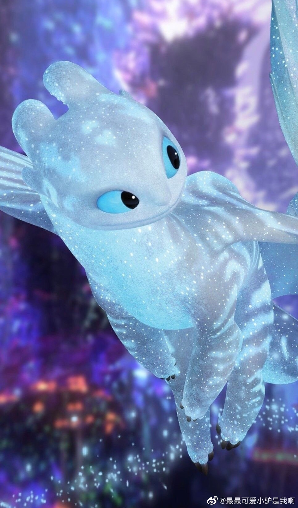 安东星丶无牙 _ 哔哩哔哩相簿