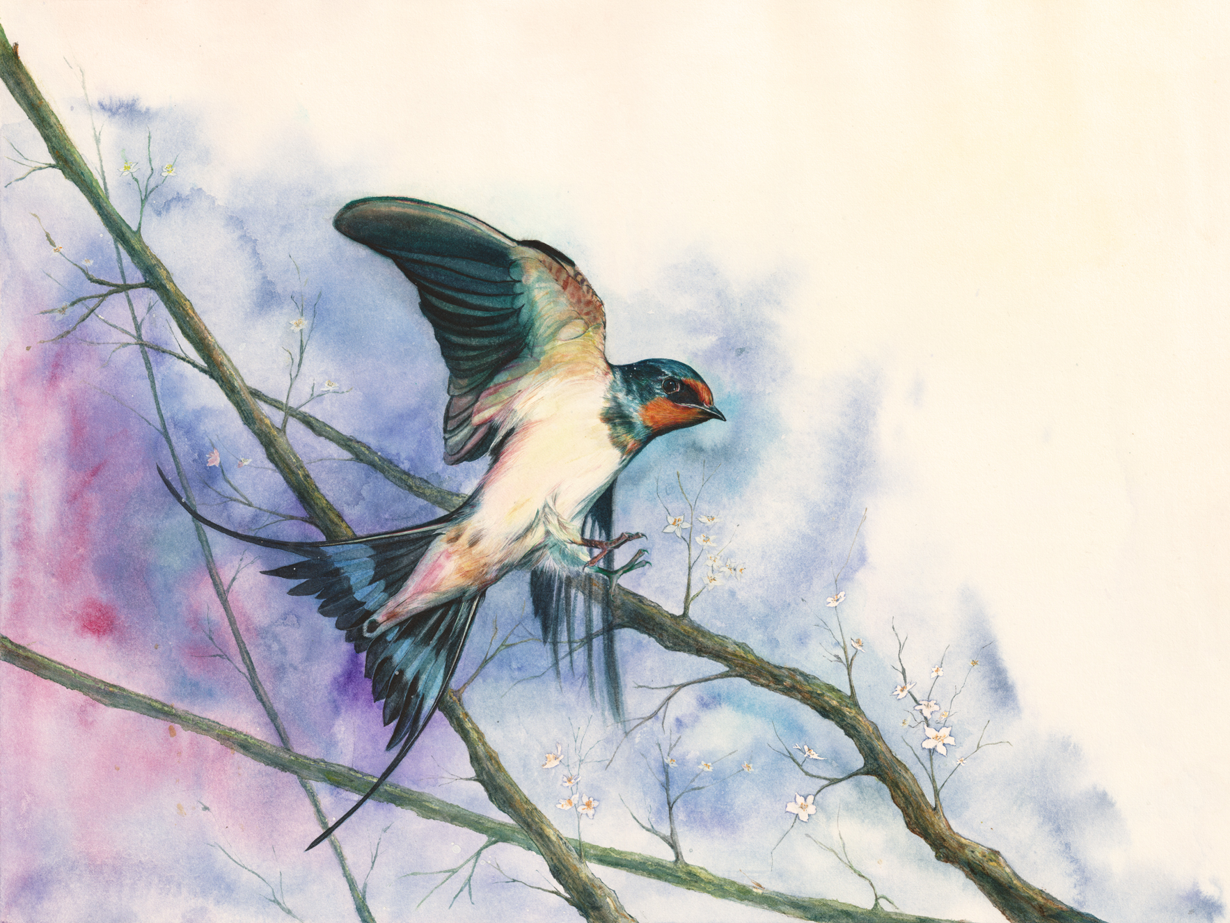 0支持:4上传时间:2018-04-19 22:18:09画友·插画原创  |梅花燕子水彩