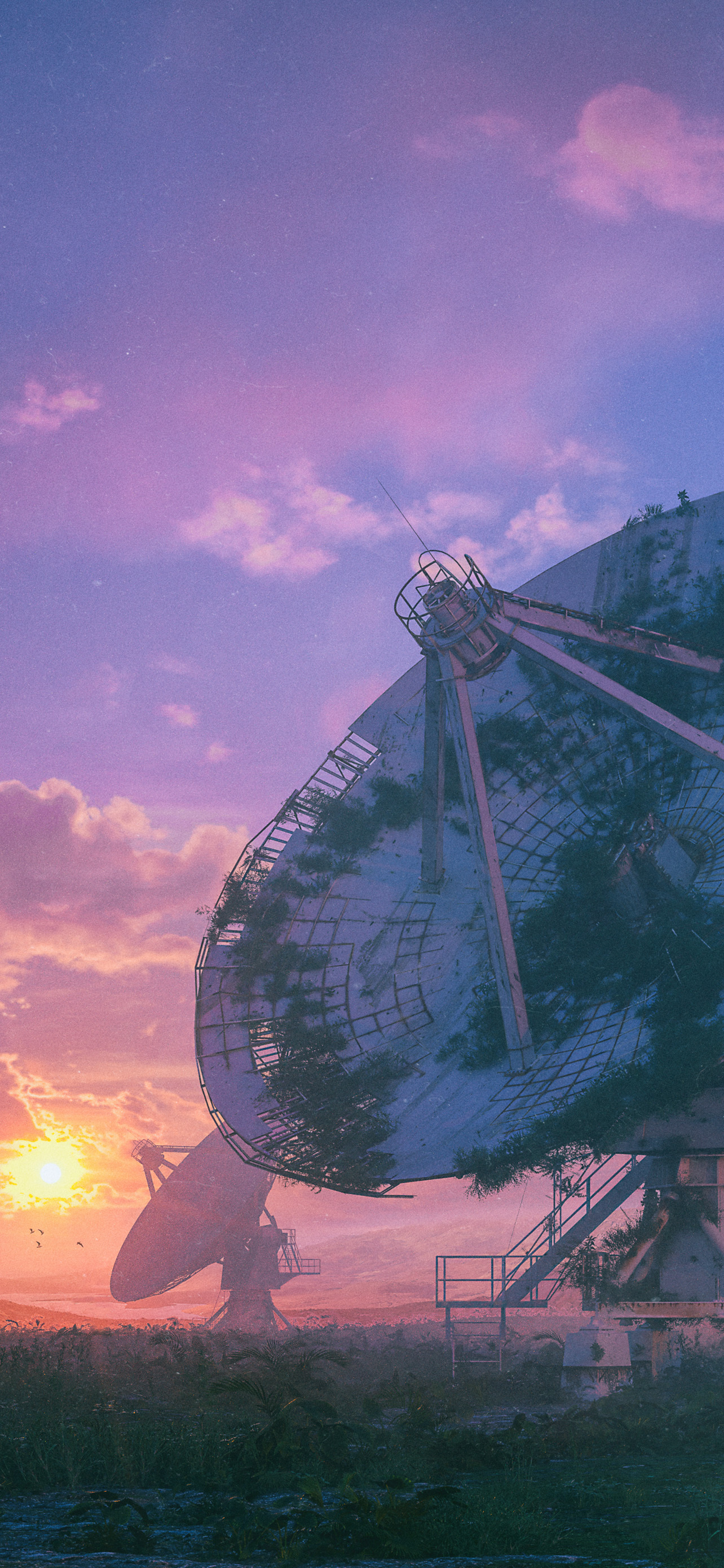 1284_2778竖版 竖屏