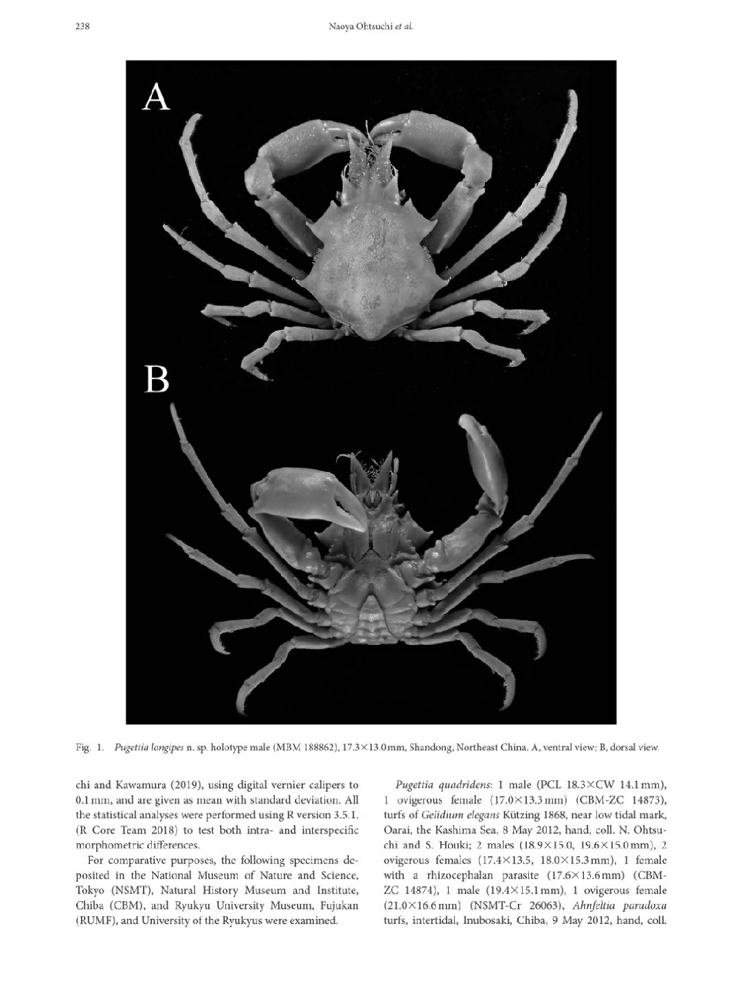 莫比 迪克 哔哩哔哩相簿