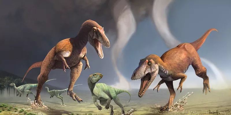 皮亚尼兹基龙 _ 哔哩哔哩相簿