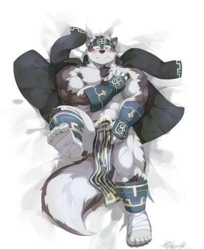 狼王艾罗_守约弟 _ 哔哩哔哩相簿