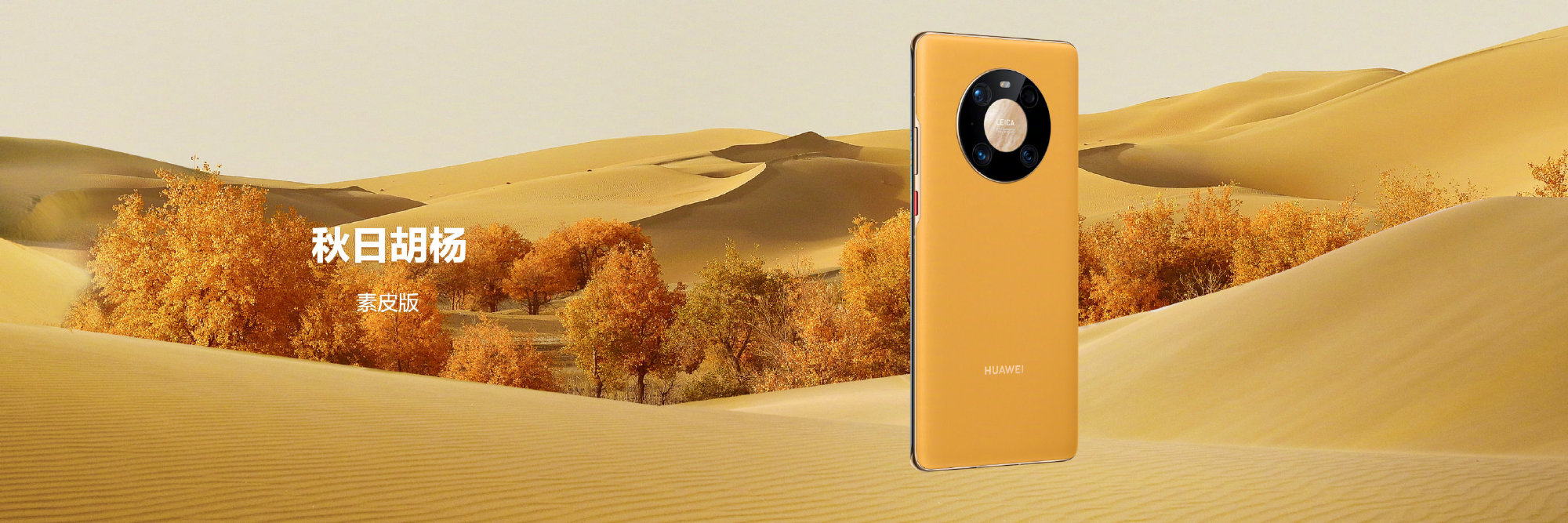 荣耀俱乐部 _ 哔哩哔哩相簿