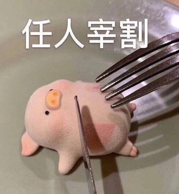 miski碗碗 _ 哔哩哔哩相簿