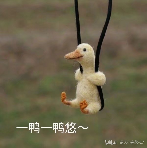 逆天小家伙-17 _ 哔哩哔哩相簿