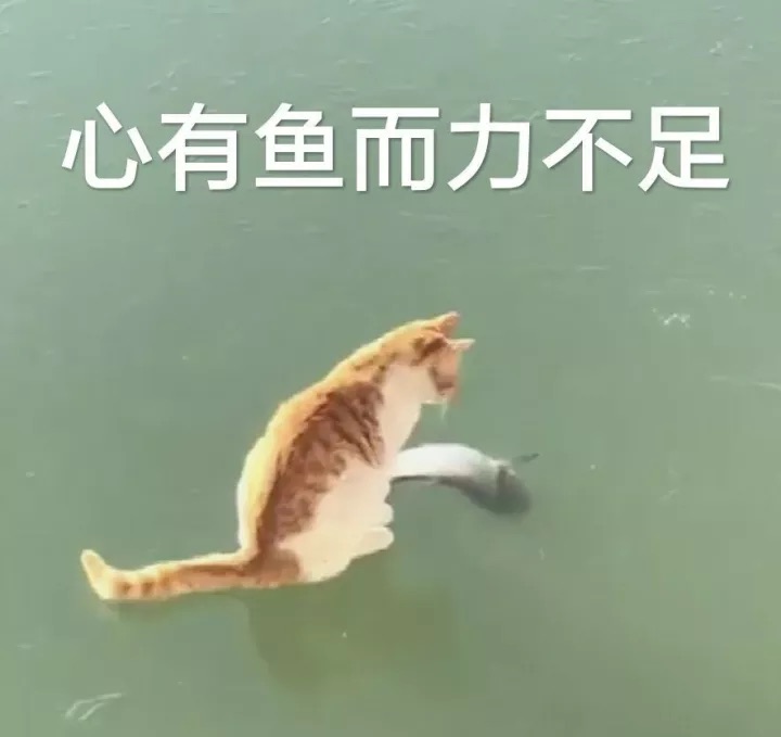 九方朔原 _ 哔哩哔哩相簿