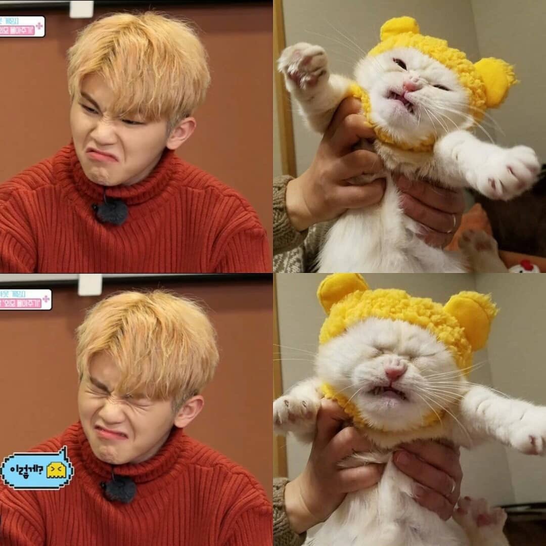 可爱了 转发 评论 赞 李呜叽的白米饭 2019-08-17 #权顺荣hoshi#宝贝