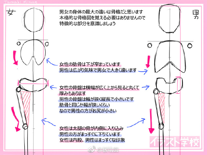 男女体格差 骨骼肌肉 姿势的方面绘画参考 绘画会说 哔哩哔哩相簿