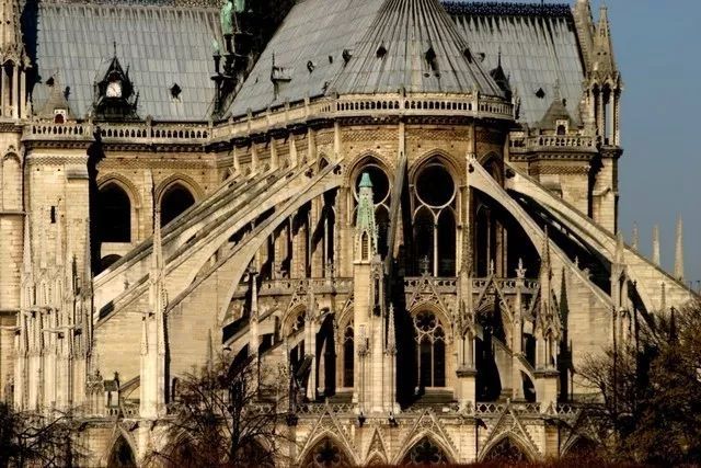 _ 网-红茶 _ 哔哩哔哩相簿