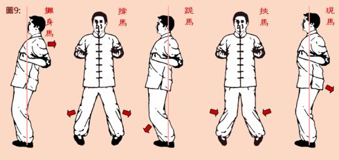 3只坚果 _ 哔哩哔哩相簿