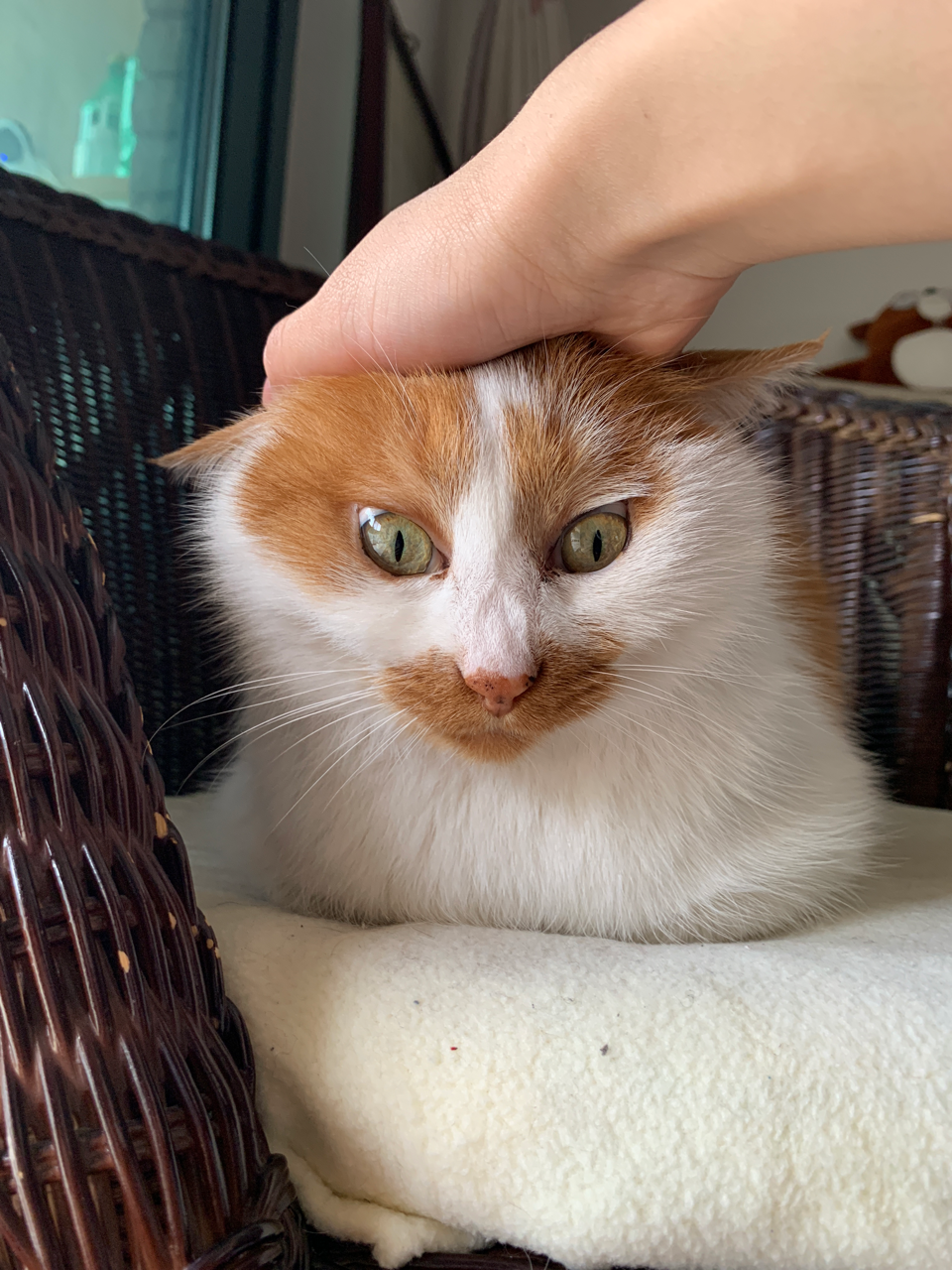 ta 的直播间轮播中一丢丢猫一丢丢喵1ta 的小视频0ta 还没有小视频喔