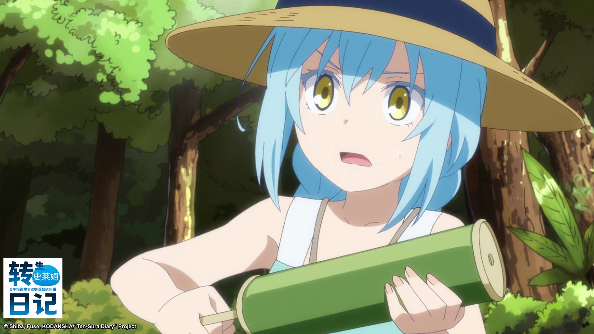 木棉花动漫有限公司