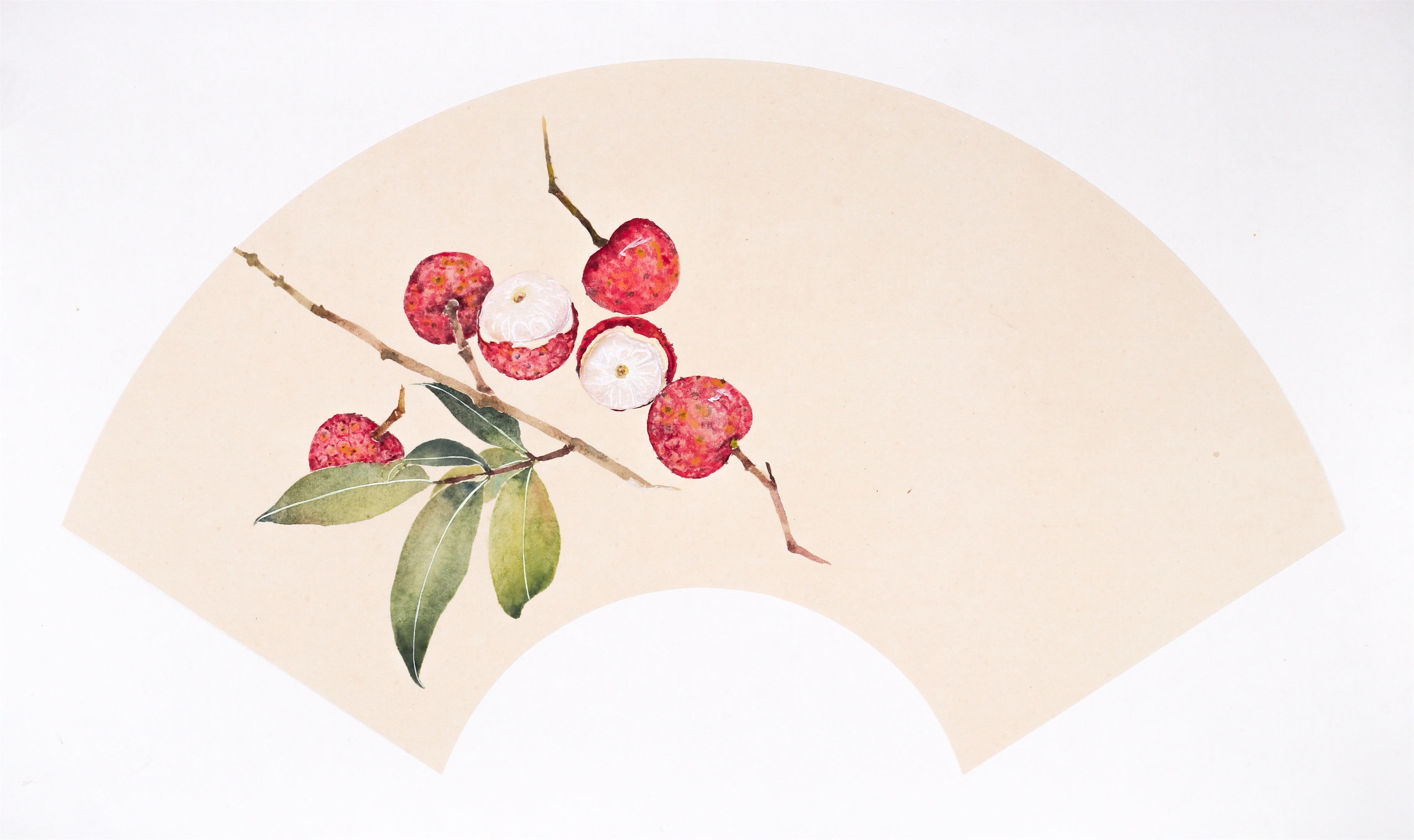 哔哩哔哩相簿,绘你所想,拍你所爱