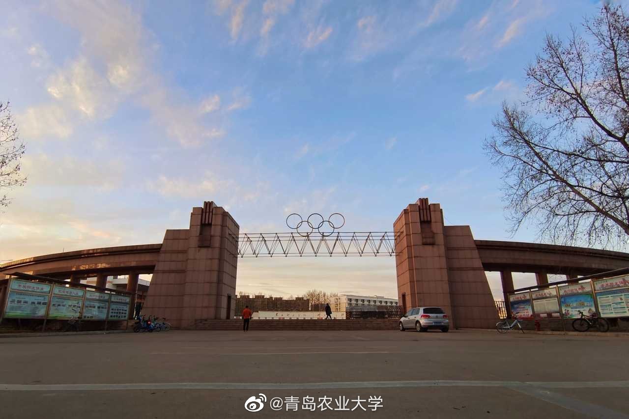 青岛农业大学是几本图片