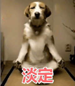 婷婷的小暖炉 _ 哔哩哔哩相簿