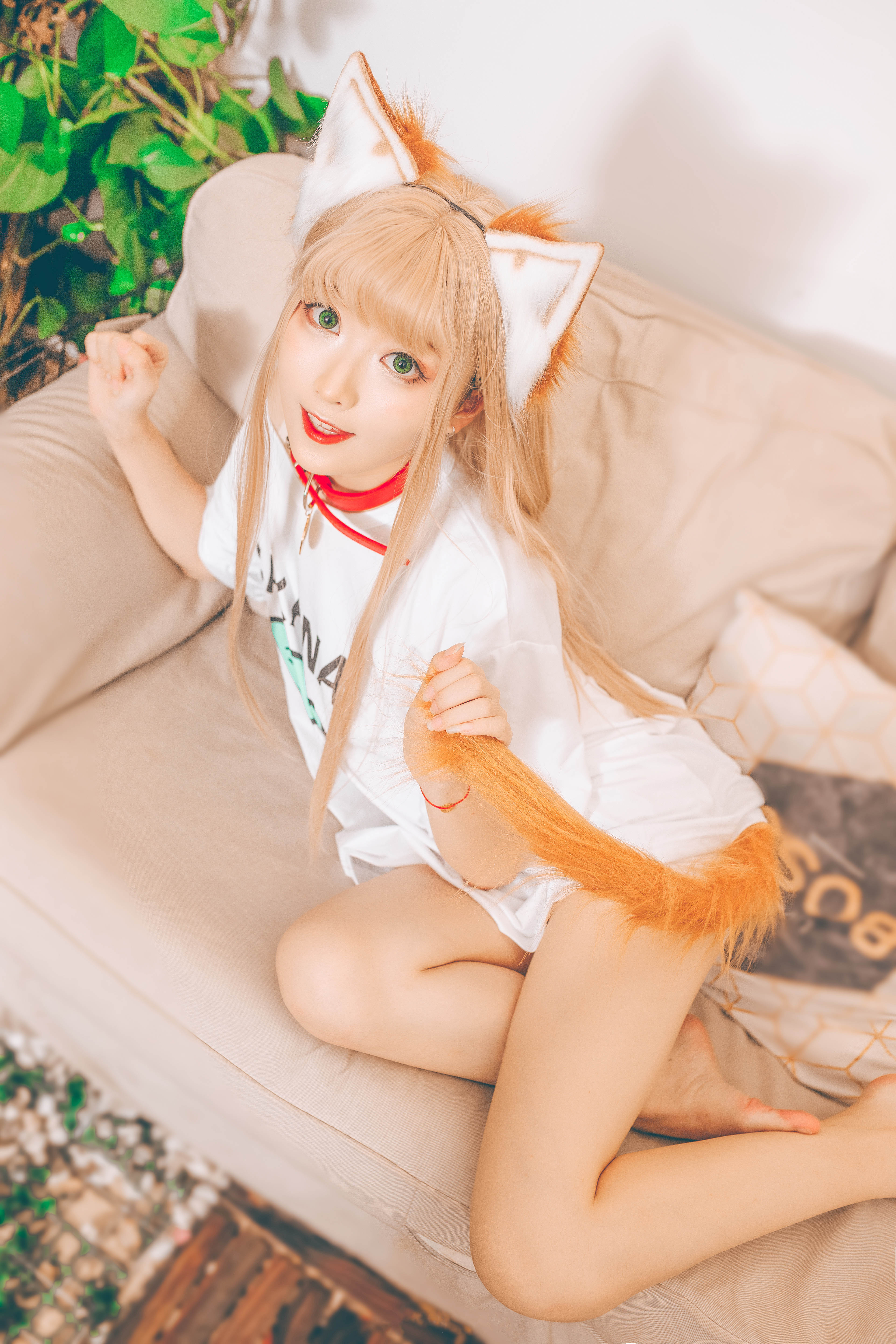 子姬ZJ黄豆粉猫娘cosplay4