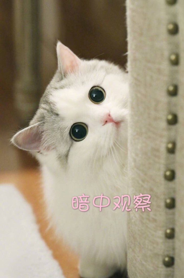 ta 的直播间闲置中"12.