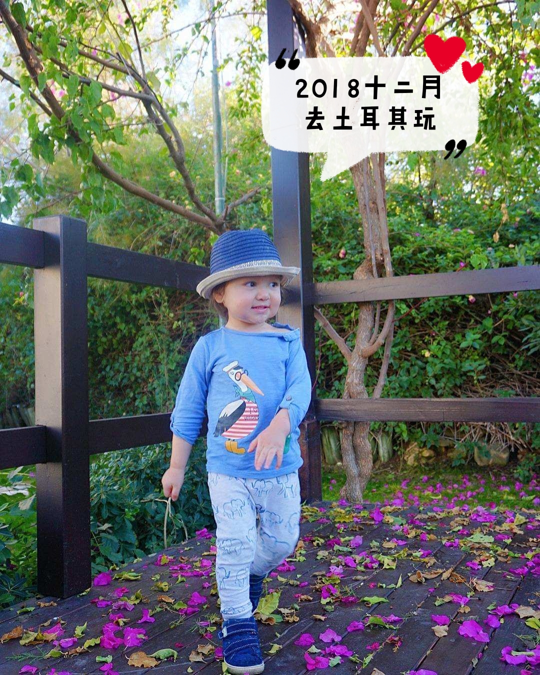 雨琪在芬兰 _ 哔哩哔哩相簿