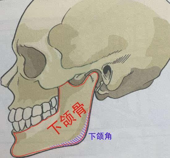 韓教頭面部運動 _ 嗶哩嗶哩相簿