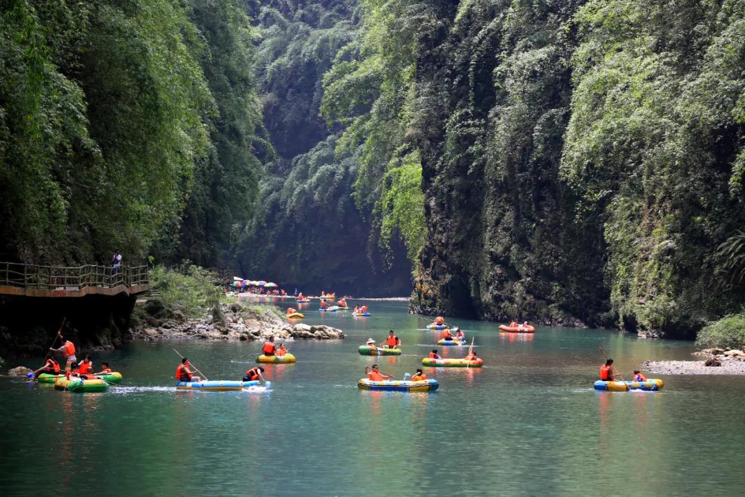 重庆游品 _ 哔哩哔哩相簿