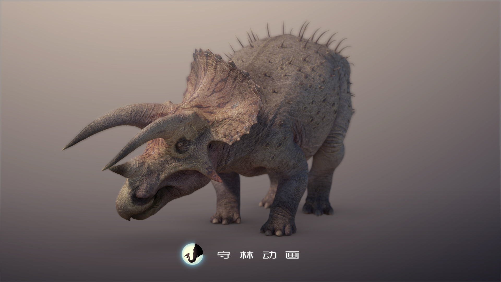 守林动画工作室 _ 哔哩哔哩相簿