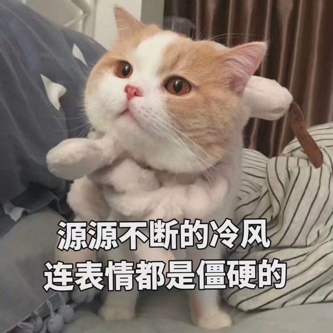 两个凶表情两只企鹅猜成语_两只企鹅采访的表情包(2)