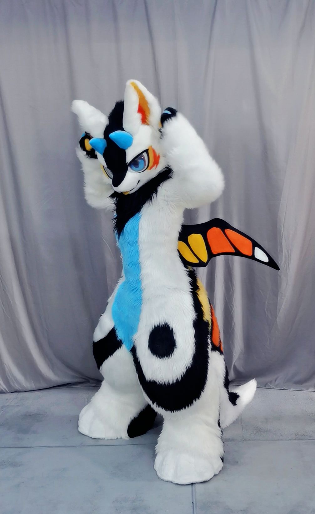 果糖含量 _ 哔哩哔哩相簿