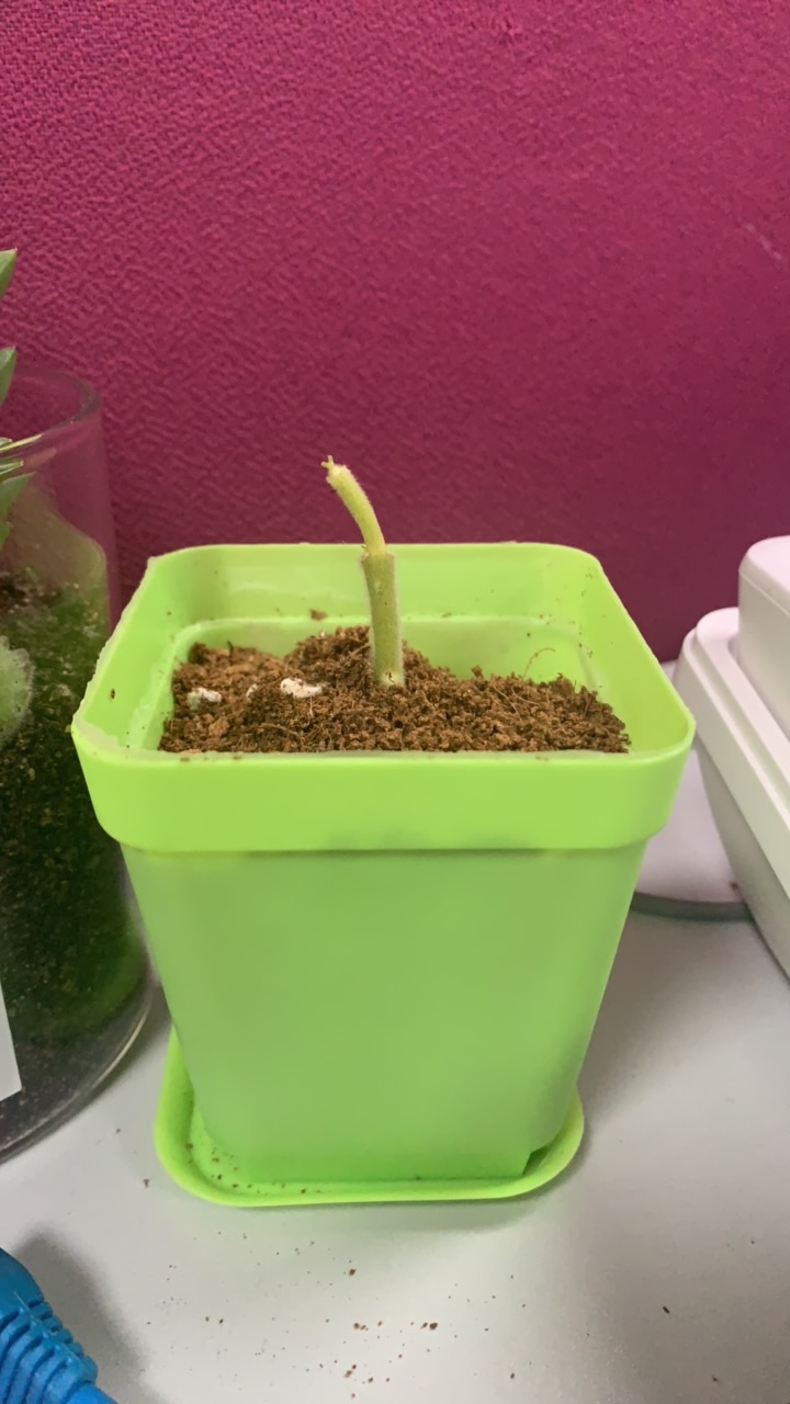 小熊纯一郎