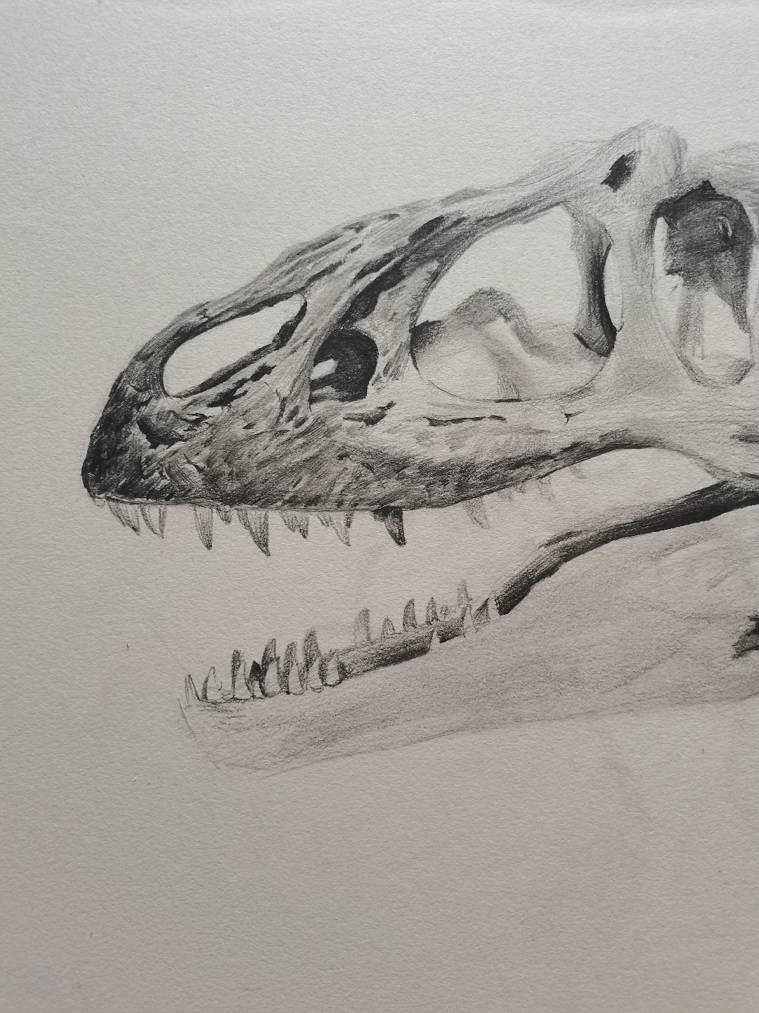 24 19:04:40 浏览:111收藏:0支持:8 ta 的直播间南方巨兽龙素描讲解