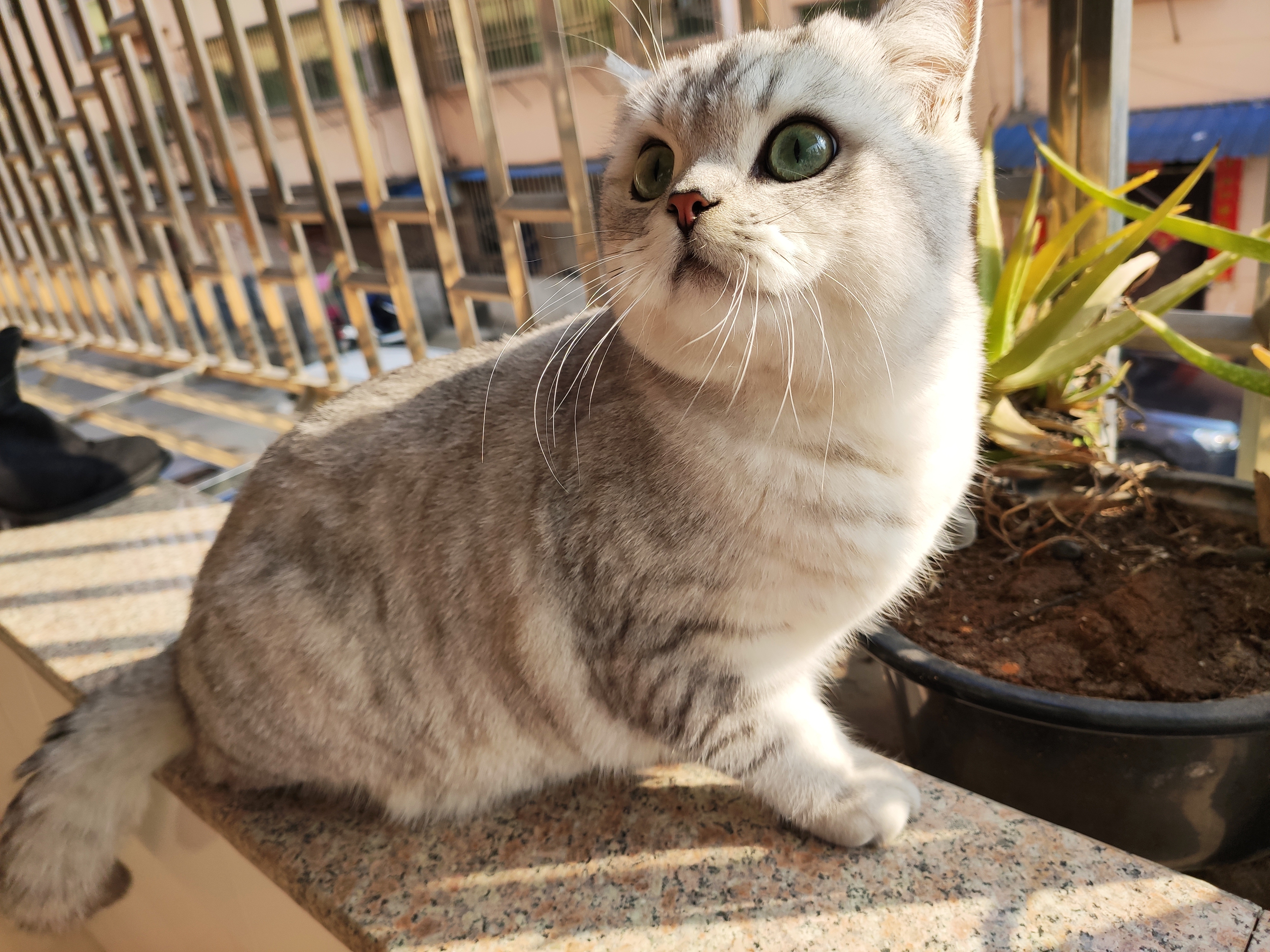 歌手东尼大木 _ 哔哩哔哩相簿