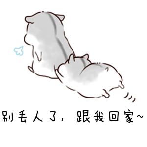 炫菌的二哈 _ 哔哩哔哩相簿