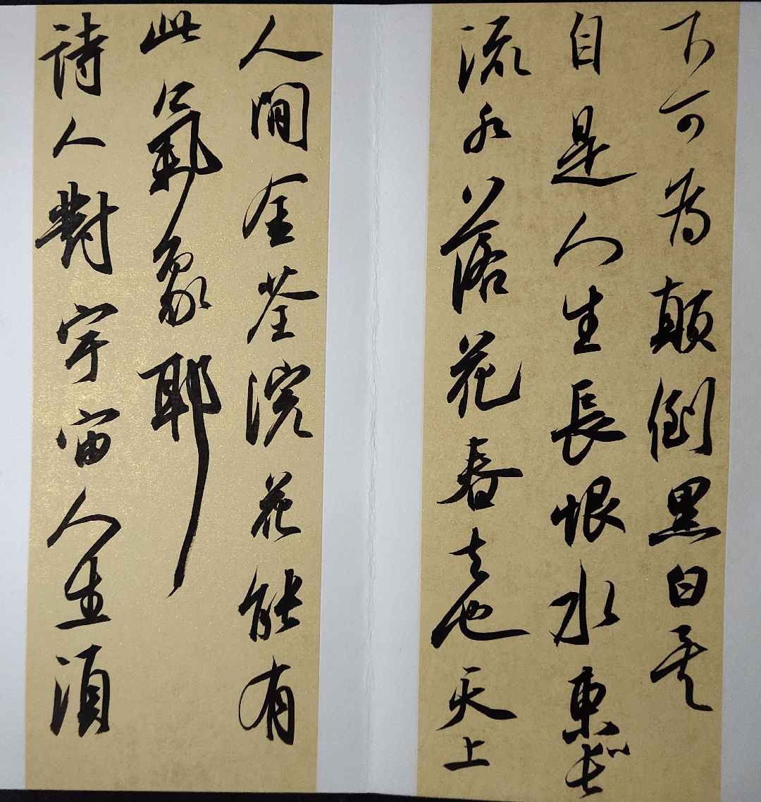 夏云国书法 _ 哔哩哔哩相簿