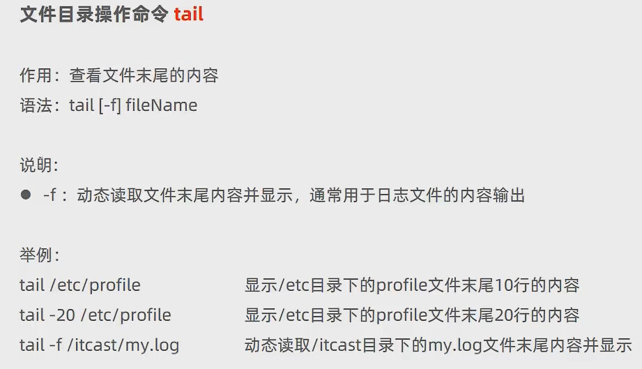 image-20230115204155736
