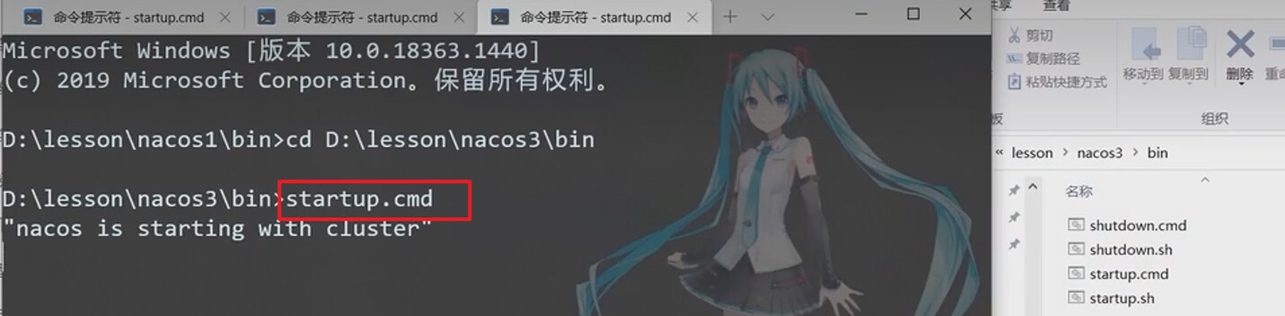 image-20230117123905086