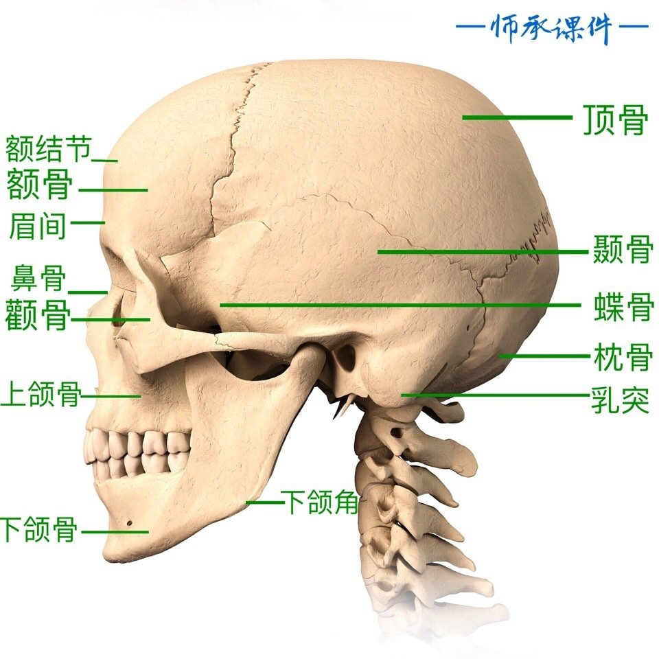 绘伴 _ 哔哩哔哩相簿