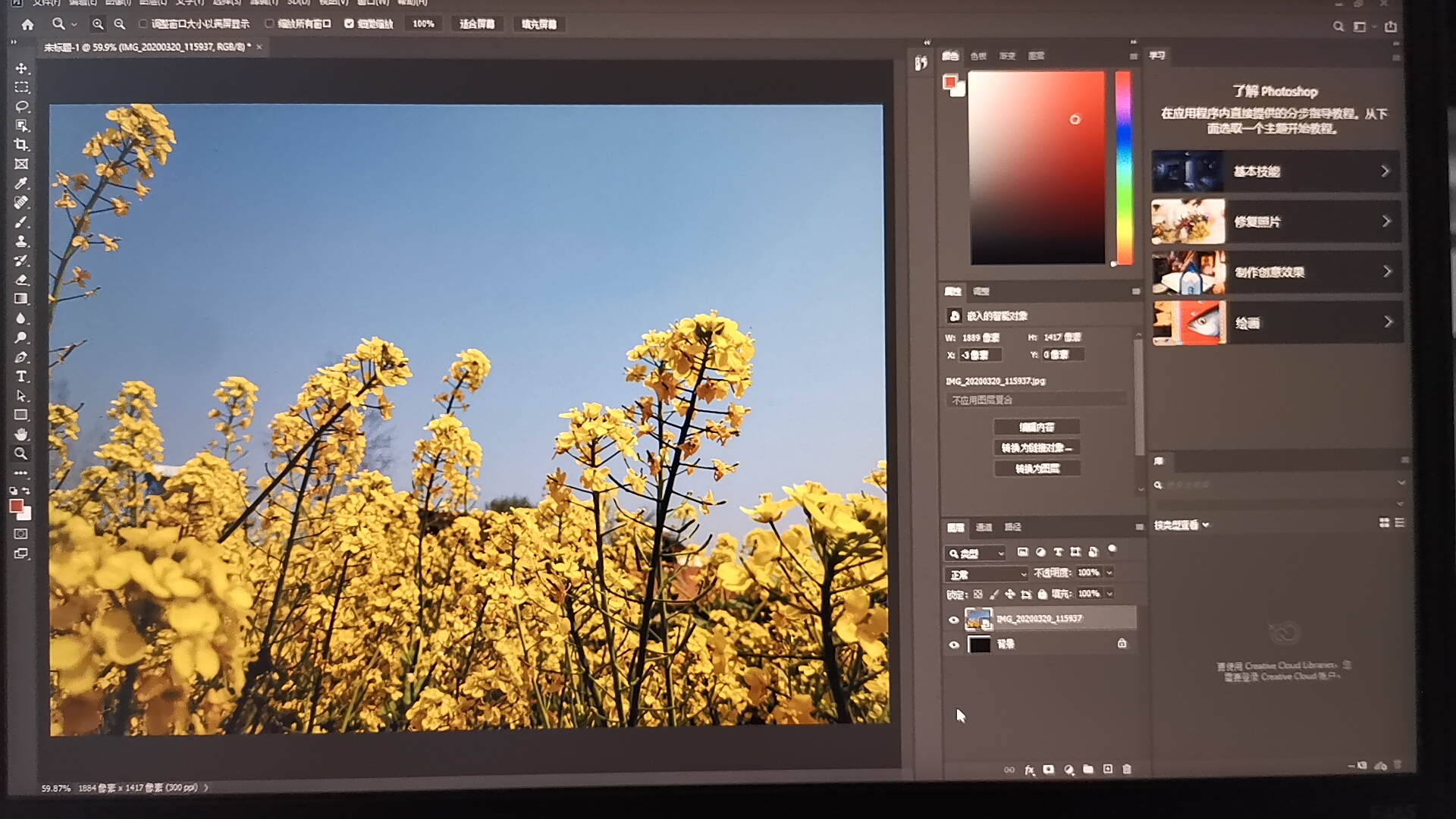 闭关修炼,开始学习.争取早日获得新技能