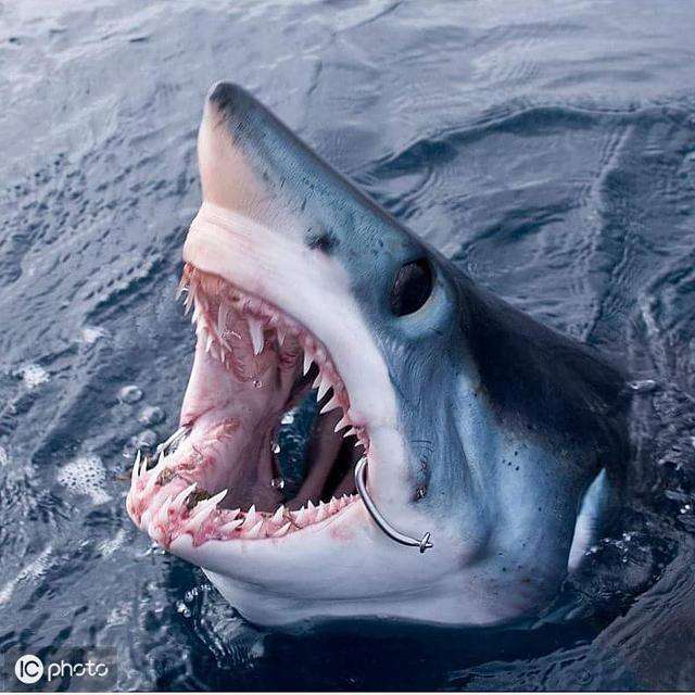 上传时间:2020-04-27 21:48:43