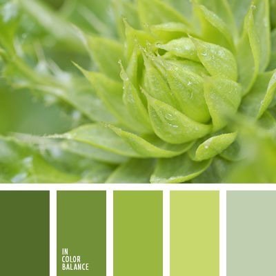 分享一组叶子色卡参考 想要领取更多绘画参考素材,可以加q群