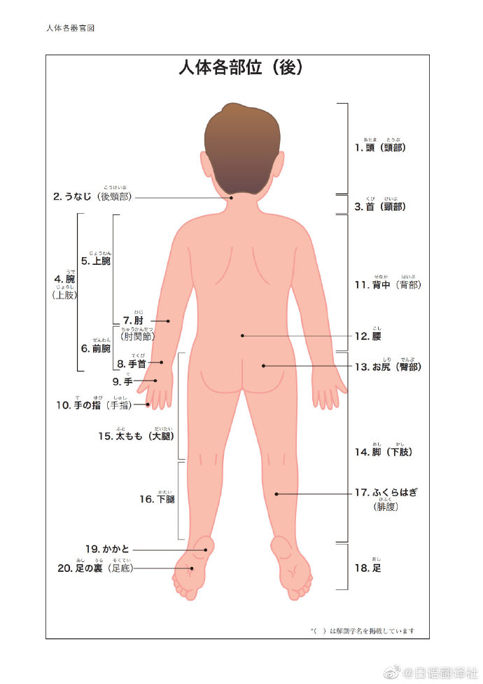 日语翻译社 哔哩哔哩相簿