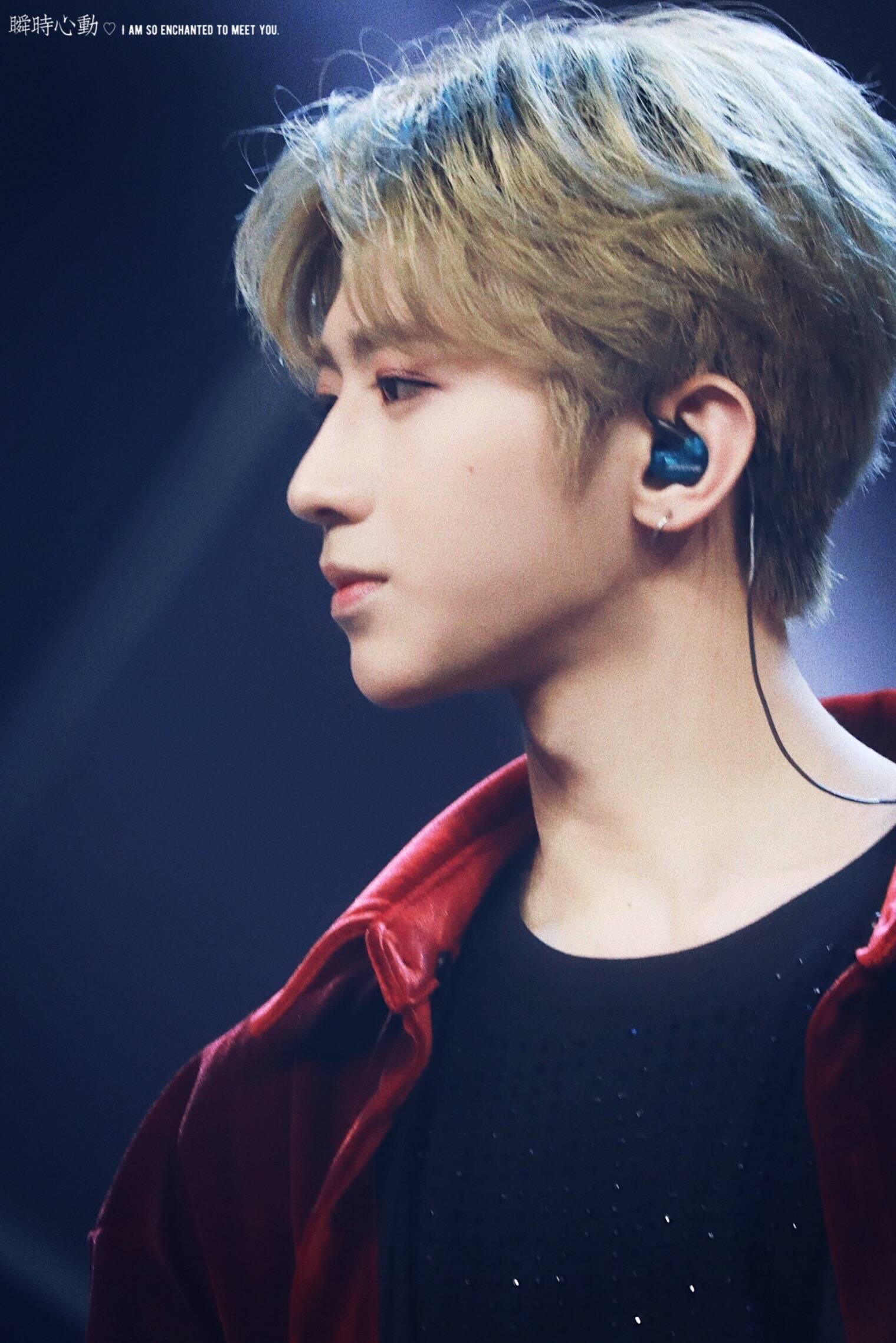 哔哩哔哩相簿,绘你所想,拍你所爱