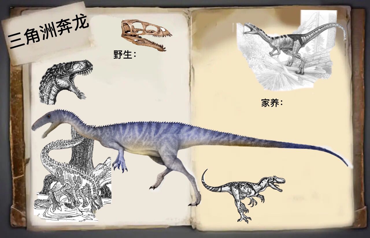 都来吃我 棘龙:谁叫你是我们这里的土特产呢[脱单doge]