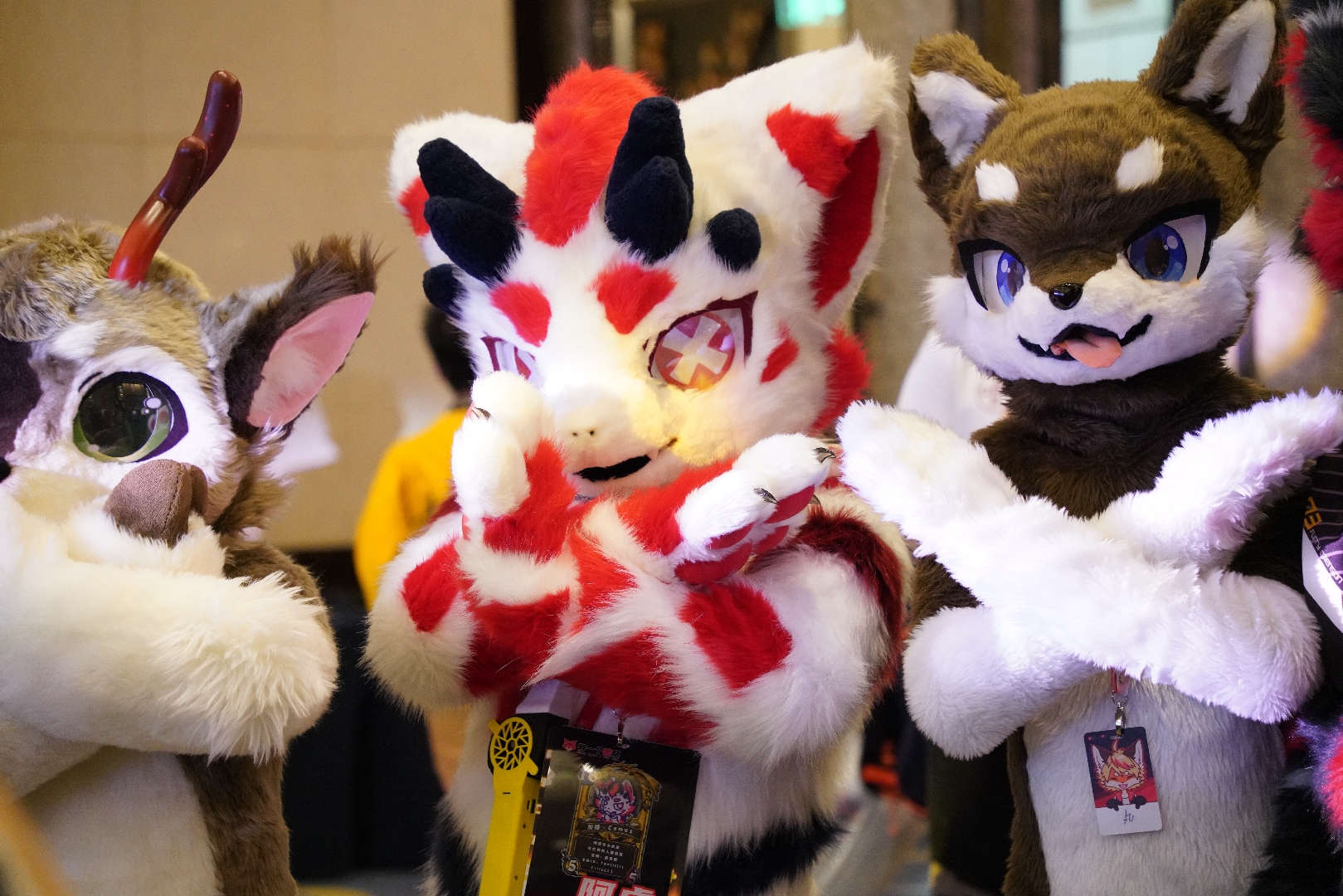 frosty朗 _ 哔哩哔哩相簿