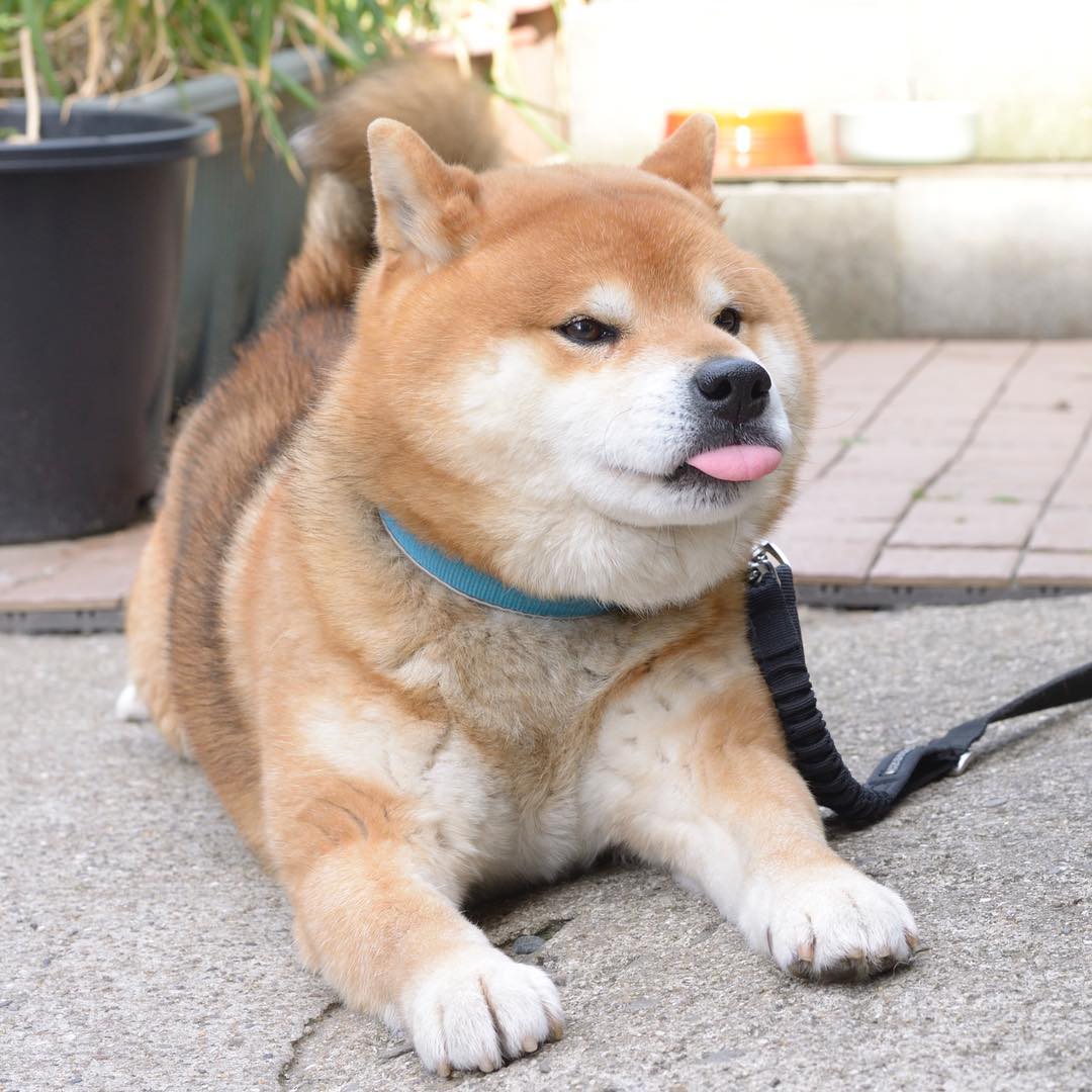 umrright _ 哔哩哔哩相簿